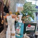 카페(cafe)732 이미지