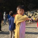 불태산야영장 이미지