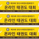 삼성유아태권도 이미지