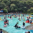 성주산자연휴양림 뉴스스토리