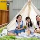 제이엠코코