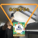 울산 입주청소 송정 한양수자인 입주청소업체 후기