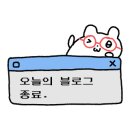 렌시스코리아 홍대점 이미지