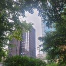 한중약국 이미지