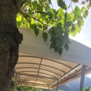 육백산 사슴농장 이미지