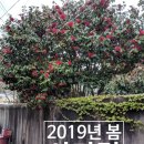 수비 버스정류장 이미지