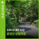 관악역＞안양예술공원＞삼성산산림욕장발길따라걷기 이미지