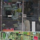 소명약국 이미지