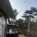 숲속파도소리 | [대전 봉명동 맛집][충남 태안 숲속파도소리펜션]이관복 명장 냉면 기름냉면 맛집, 해루질가능한 펜션