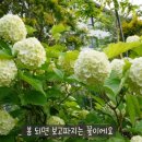 휴팩토리 이미지