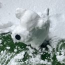 지지밍고 이미지