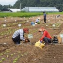 서울 2농장 이미지