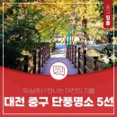 중평1,3길 | 대전 중구, 가을을 걷다. 중구 단풍명소 5선