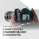 프로 인물 제품 사진 촬영 | 소니 FX2 리뷰 | 씨네포토 오프라인 출사, FX2로 촬영한 인물사진은? (feat. 100마크로렌즈)