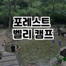 포레스트벨리캠프 이미지