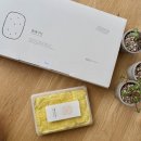 강릉 선물포장떡 추천 ‘동해기정’ 온라인예약 픽업 후기, 보관방법