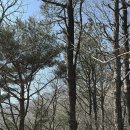 수왕사 약수터 이미지