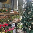 강동동 주민센터 | [부산 강서구 강동동] 🏠 주민센터 임시출장소 헛걸음 안하는법 총정리 (에코델타시티 민원)🚗