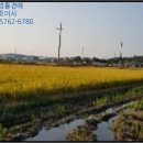 임봉보건진료소 이미지