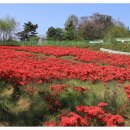 신흥동006 이미지