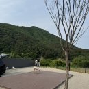 인제08 | [Travel Log] 강원도 인제 애견동반 독차지 캠핑장 후기｜반려견과 프라이빗 힐링