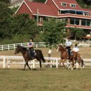 연천승마공원 이미지