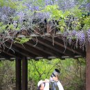 정희농장 이미지