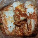 종가집 김치 10kg 태백 31840원 양념이 적은 서울식 김치