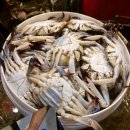 황금좌대 이미지