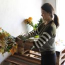 피오니플랜트 이미지