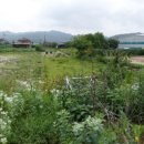 파주법원경기-파주-법원2 이미지