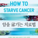 암 대사 치료 / 의학전문 논문 사이트 pubmed 에 게재돤 삼중 음성 유방암 진행을 막는 디피리다몰 이미지