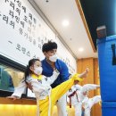 뿌리깊은 나무 태권도장 이미지