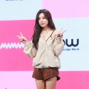 브이 이미지