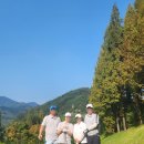 올리브골프연습장 이미지