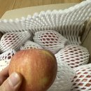 정들농원 | 햇부사사과 추천 정담아농원 프리미엄 사과 후기