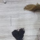 가람미용학원