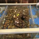 큰손해물손칼국수 이미지