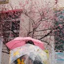 강나루 긴 언덕 | [노경아의 달곰한 우리말] 날씨 관련 우리말