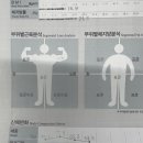 디엔디 피트니스 | 광주광역시 풍암1지구 24시간 헬스장 디엔디피트니스 회원 후기!