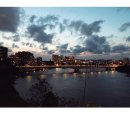 산책가는날 이미지