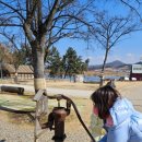 상학목장 이미지