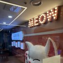 고양이 마을 | [잠실] 길고양이마을 고양이카페 솔직후기