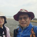 남파랑길 45일차(순천~보성구간 62코스) 이미지