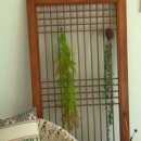 해변에서 펜션 이미지