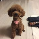 멍스타일 (멍Style) 이미지