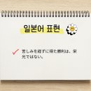 루시미오