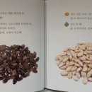 지혜서점 이미지