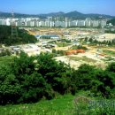 대흥마을문고 네이버블로그