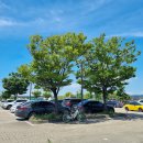 월평중로13번길 보행자우선도로 | 여의도 선유도공원